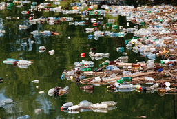 Plastic waste of all kinds float at the water surface. 