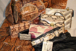 Objects made from snake anatomical parts: python skin, suit, purses, wallets, belt. 